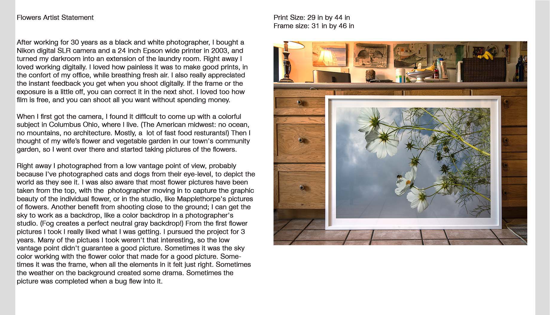 Tony Mendoza flower pictures, flash pictures of flowers